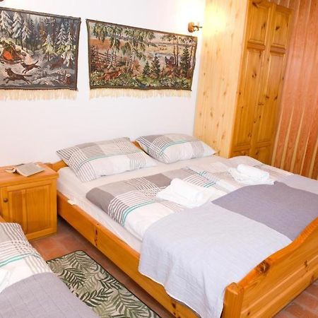 Ferienwohnung Planinca -Hisa Z Razgledom Smarje pri Jelsah Exterior foto