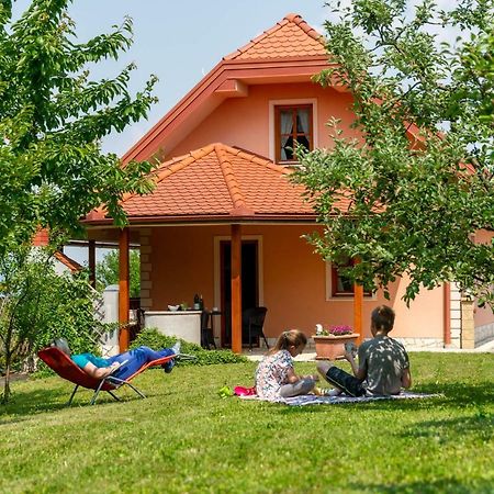 Ferienwohnung Planinca -Hisa Z Razgledom Smarje pri Jelsah Exterior foto