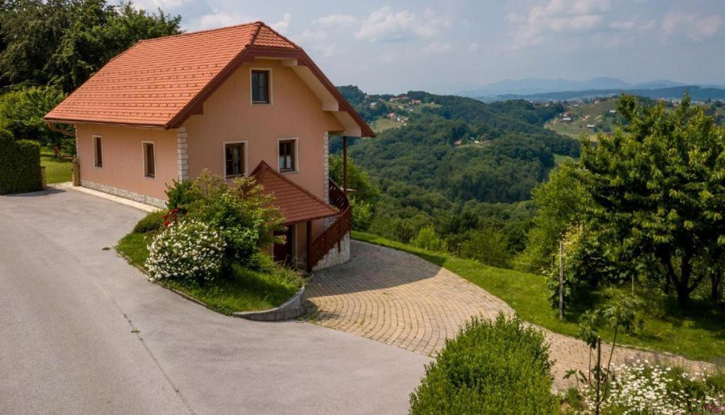 Ferienwohnung Planinca -Hisa Z Razgledom Smarje pri Jelsah Exterior foto