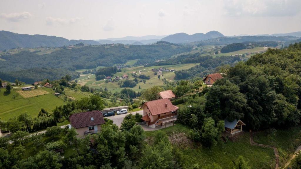 Ferienwohnung Planinca -Hisa Z Razgledom Smarje pri Jelsah Exterior foto