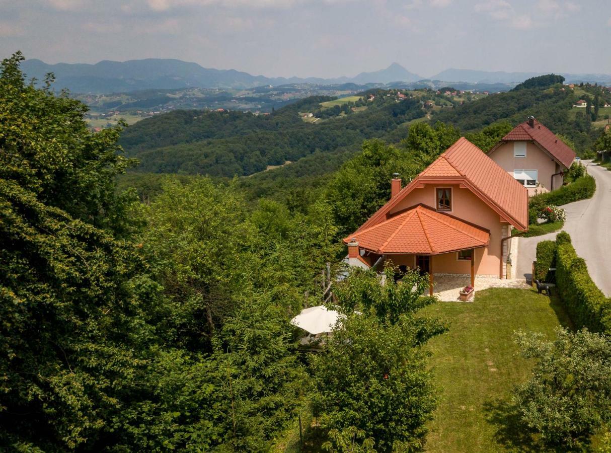 Ferienwohnung Planinca -Hisa Z Razgledom Smarje pri Jelsah Exterior foto