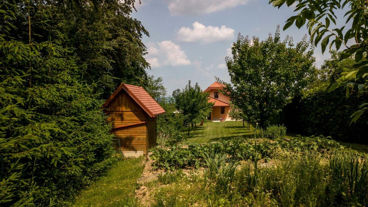 Ferienwohnung Planinca -Hisa Z Razgledom Smarje pri Jelsah Exterior foto