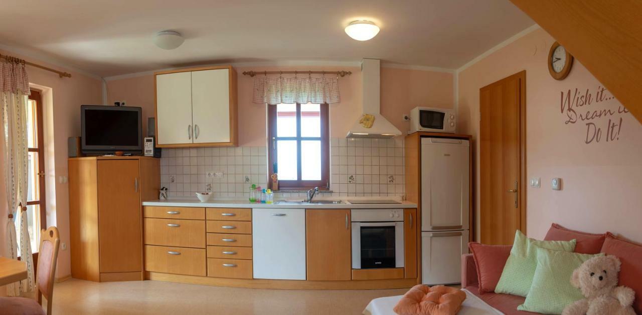 Ferienwohnung Planinca -Hisa Z Razgledom Smarje pri Jelsah Exterior foto