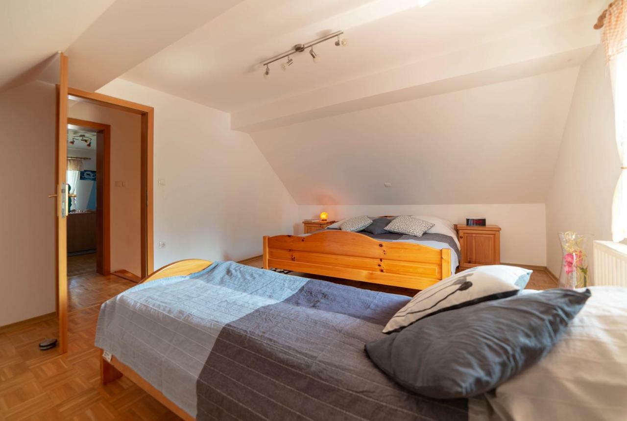 Ferienwohnung Planinca -Hisa Z Razgledom Smarje pri Jelsah Exterior foto