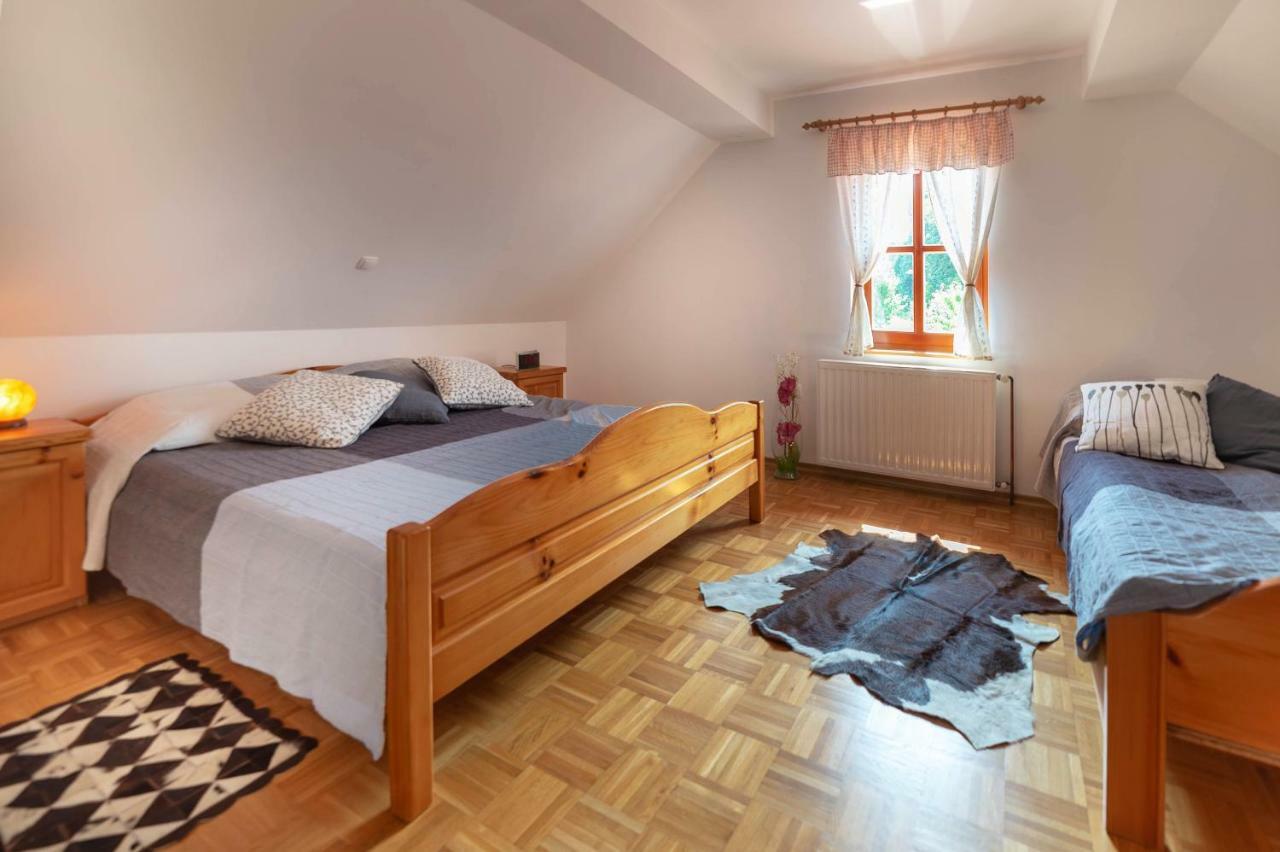 Ferienwohnung Planinca -Hisa Z Razgledom Smarje pri Jelsah Exterior foto