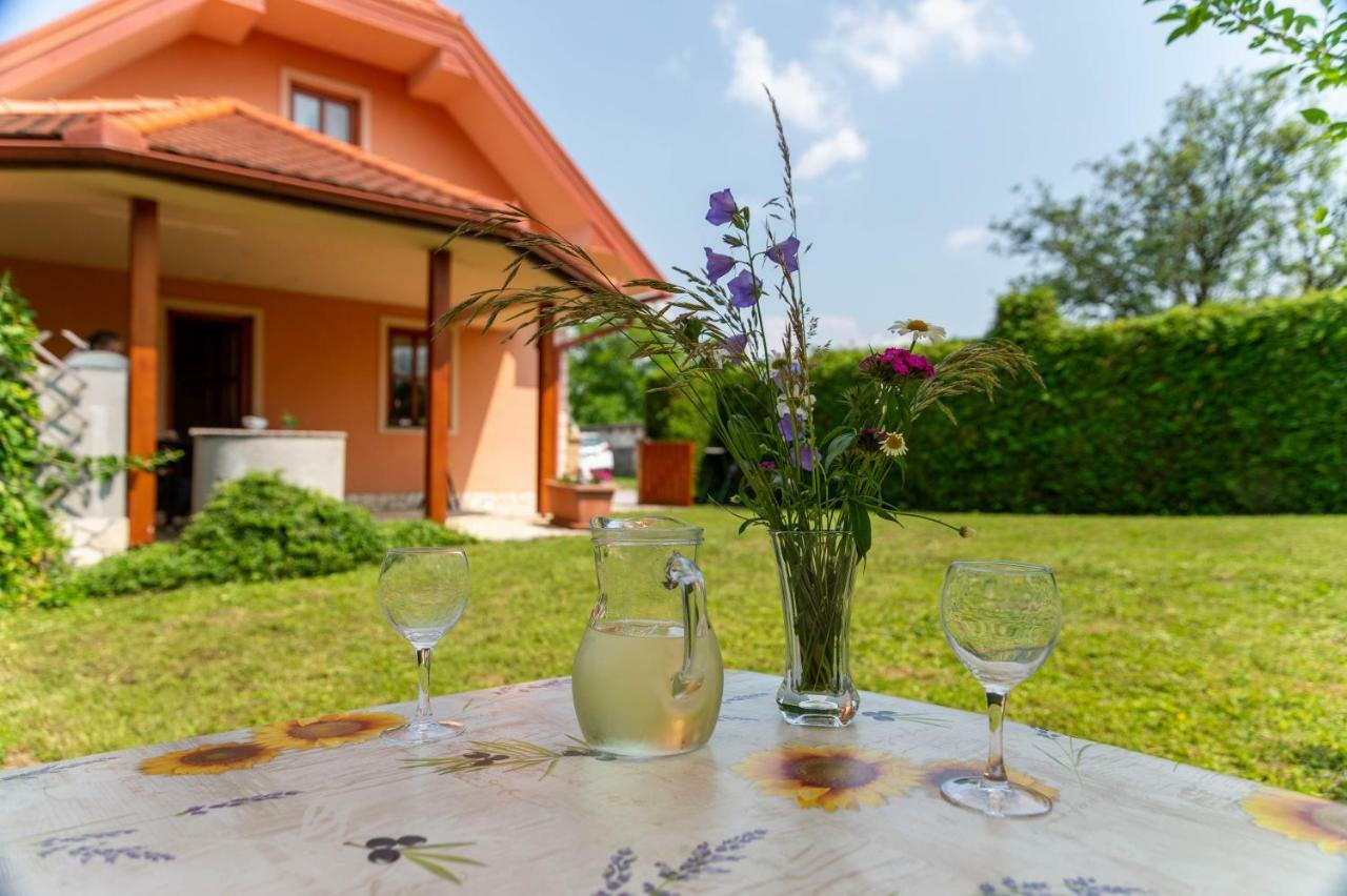 Ferienwohnung Planinca -Hisa Z Razgledom Smarje pri Jelsah Exterior foto