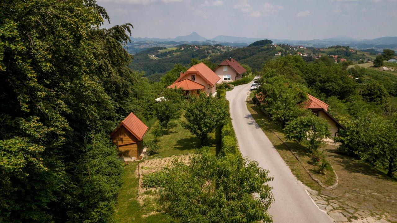 Ferienwohnung Planinca -Hisa Z Razgledom Smarje pri Jelsah Exterior foto