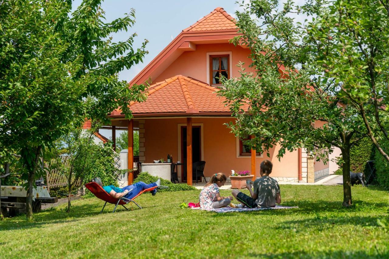 Ferienwohnung Planinca -Hisa Z Razgledom Smarje pri Jelsah Exterior foto