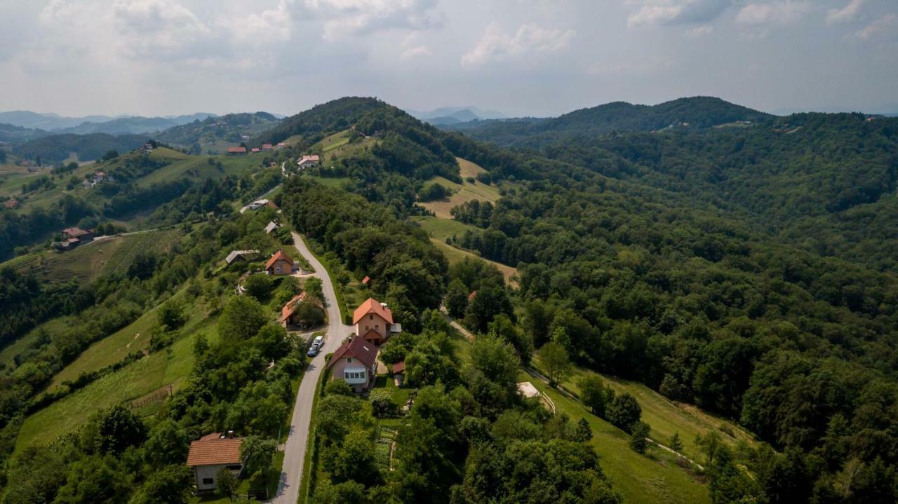 Ferienwohnung Planinca -Hisa Z Razgledom Smarje pri Jelsah Exterior foto