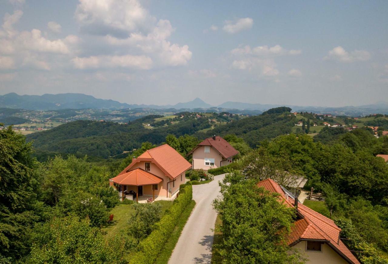 Ferienwohnung Planinca -Hisa Z Razgledom Smarje pri Jelsah Exterior foto