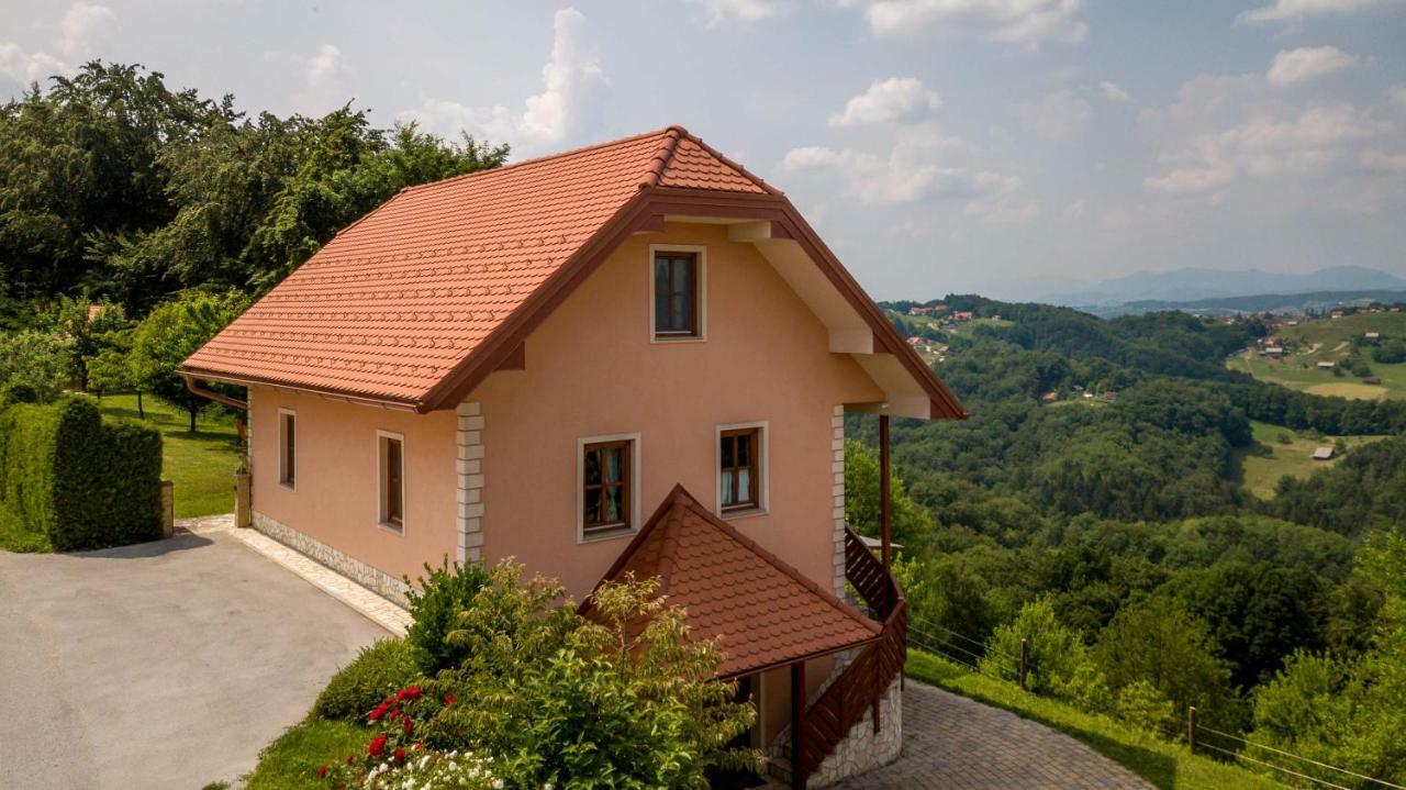 Ferienwohnung Planinca -Hisa Z Razgledom Smarje pri Jelsah Exterior foto